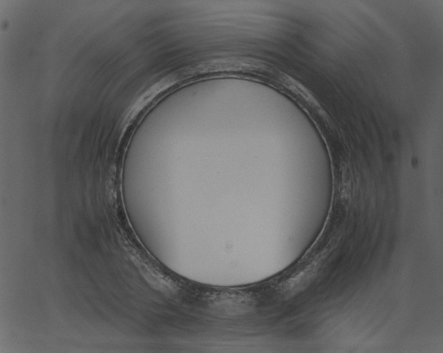 X0000062670786200601111243