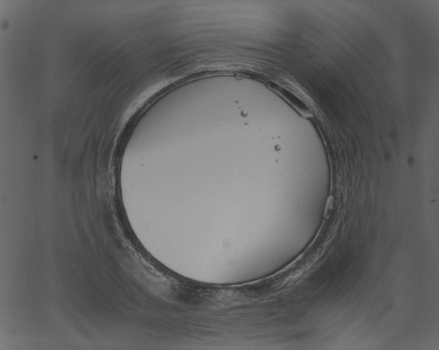 X0000062670787200601111243