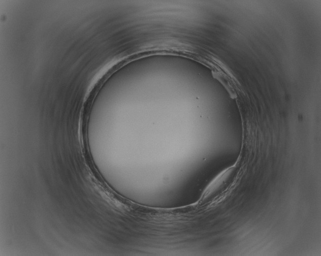 X0000062670788200601111243