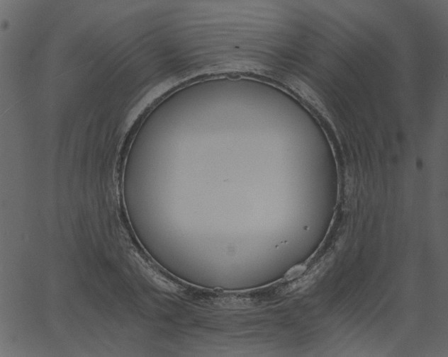 X0000062670789200601111243