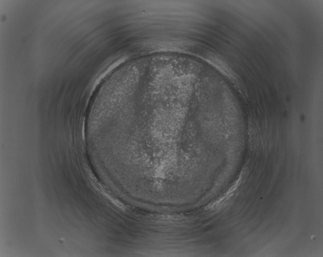 X0000062670790200601111243