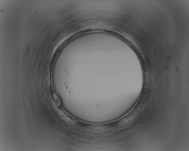 X0000062670791200601111243