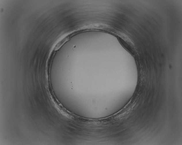 X0000062670792200601111243