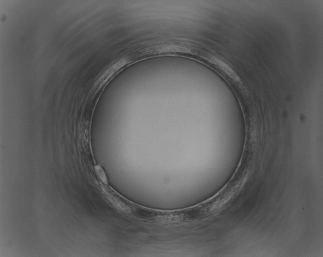 X0000062670793200601111243