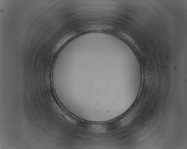 X0000062670794200601111243