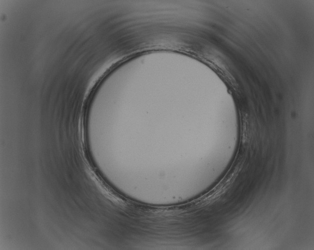 X0000062670796200601111243