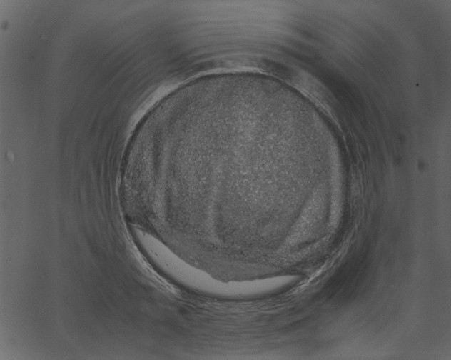 X0000062670797200601111243