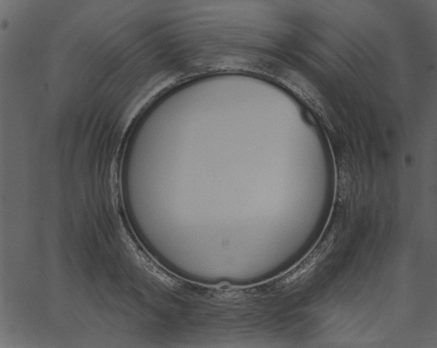 X0000062670798200601111242