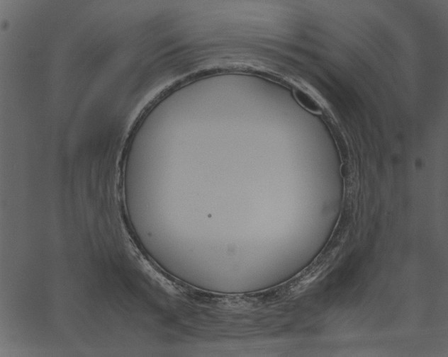 X0000062670799200601111242