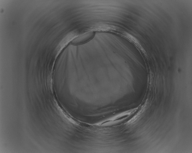 X0000062670802200601111242