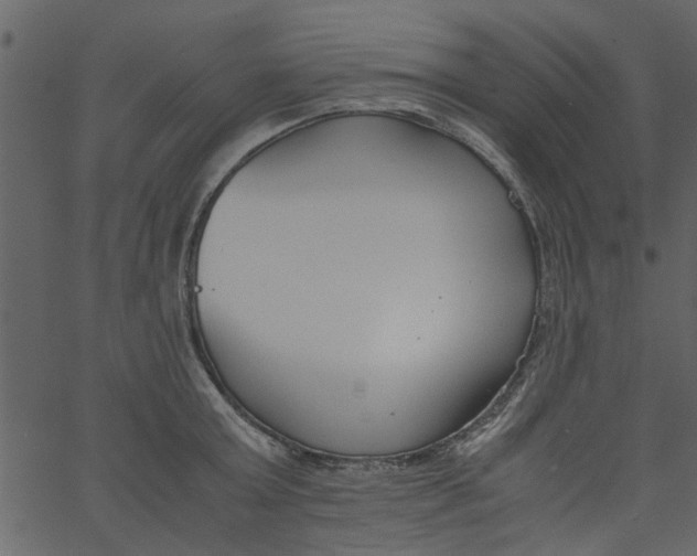 X0000062670803200601111242