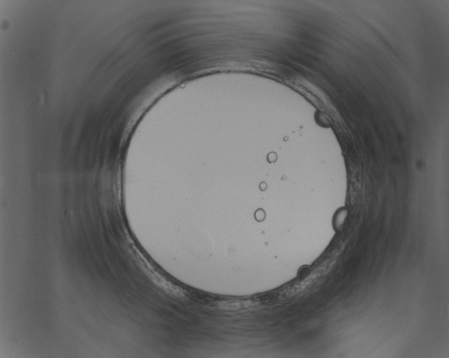 X0000062670804200601111242