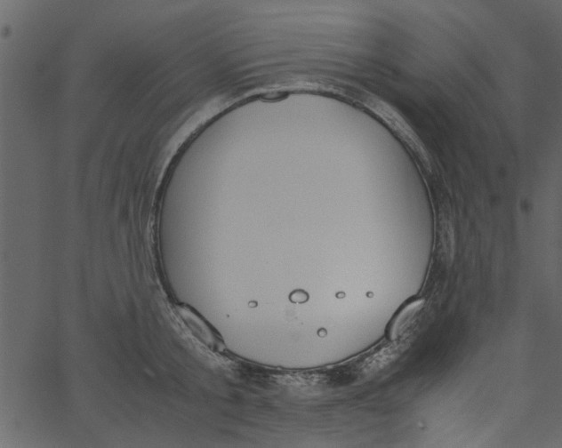 X0000062670805200601111242