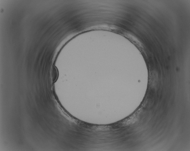 X0000062670808200601111242