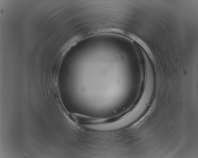 X0000062670809200601111242