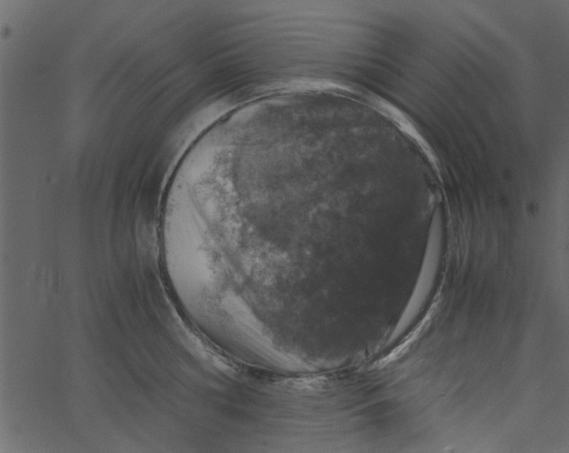 X0000062670810200601111242