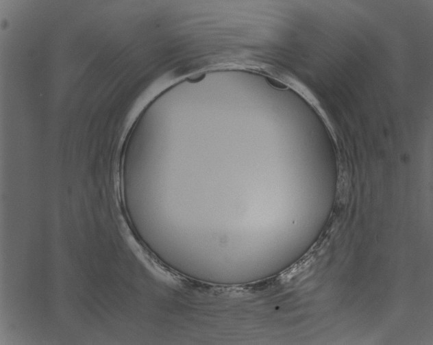 X0000062670811200601111242