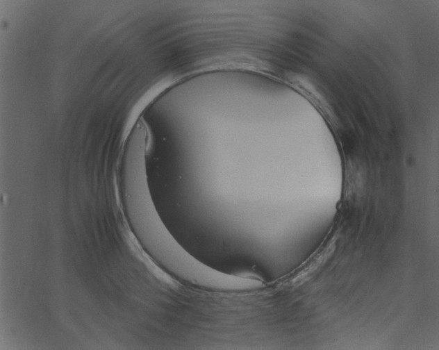 X0000062670812200601111242