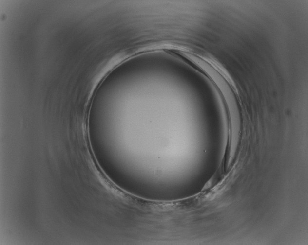 X0000062670813200601111242