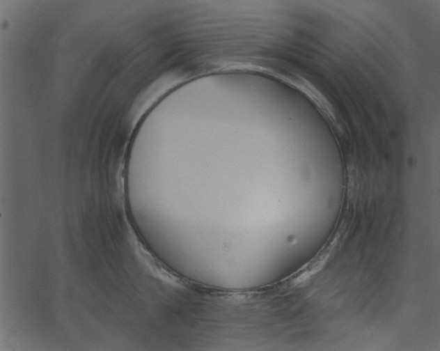 X0000062670814200601111242