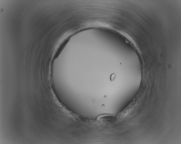 X0000062670815200601111242