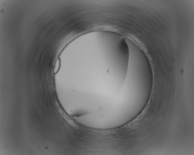 X0000062670816200601111242