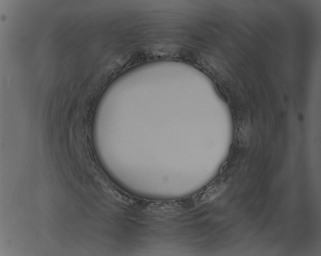 X0000062670817200601111241