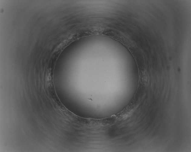 X0000062670818200601111241