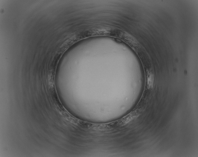 X0000062670819200601111241