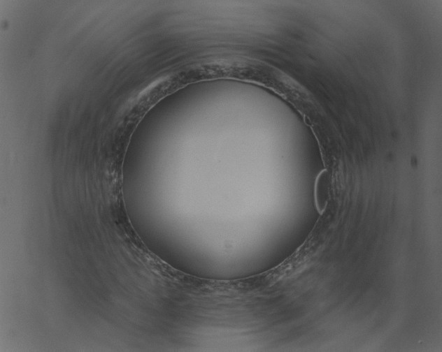 X0000062670822200601111241