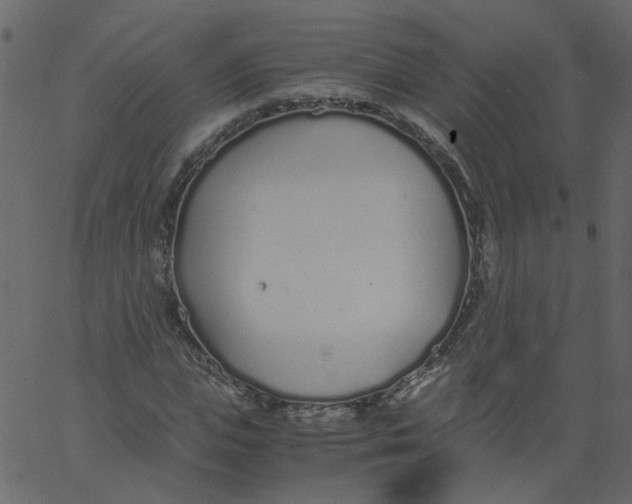 X0000062670823200601111241