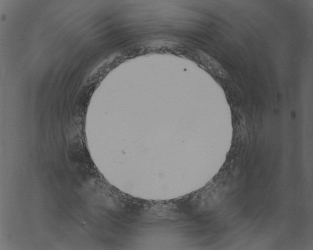 X0000062670824200601111242