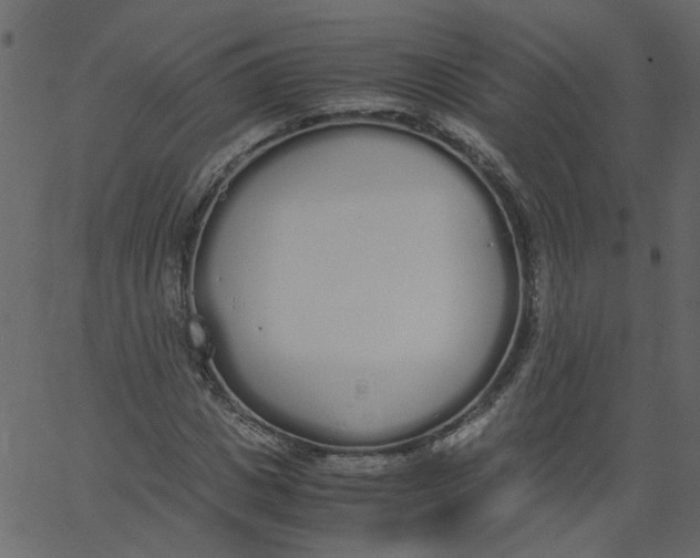 X0000062670825200601111242