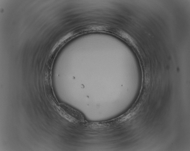 X0000062670827200601111242