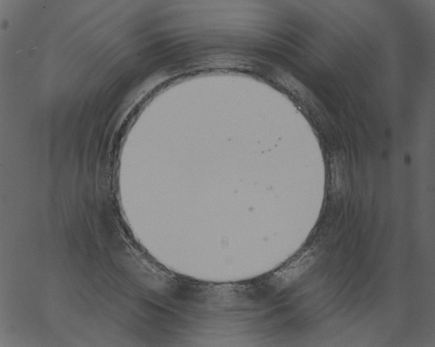 X0000062670828200601111242