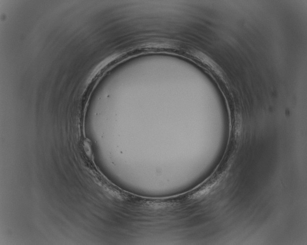 X0000062670829200601111242