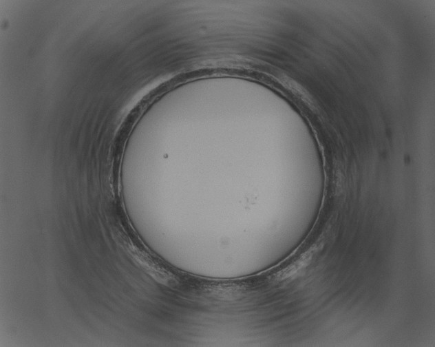 X0000062670830200601111242