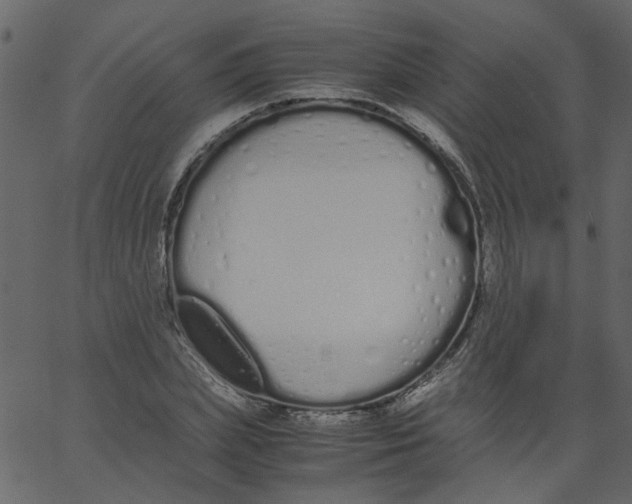 X0000062670831200601111242