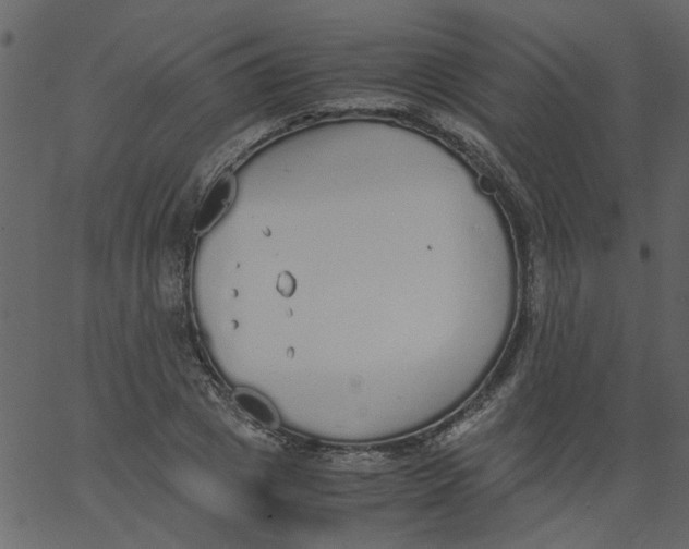 X0000062670833200601111242