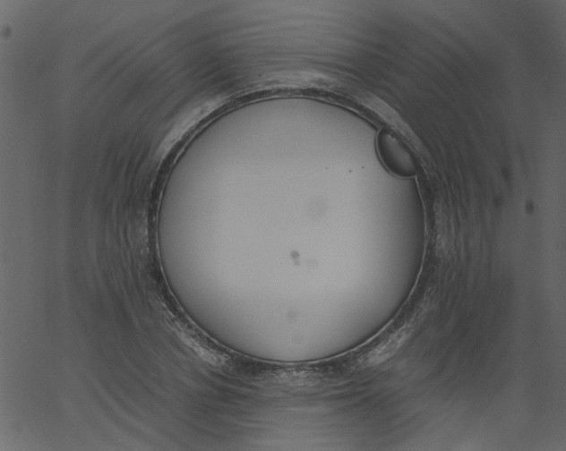 X0000062670834200601111242