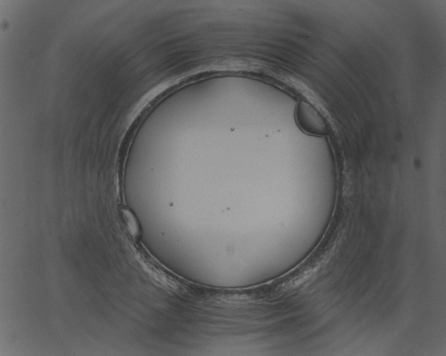 X0000062670837200601111242