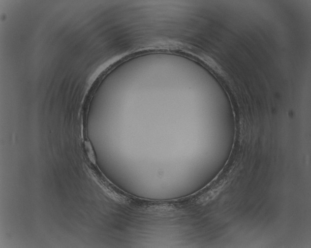 X0000062670838200601111242