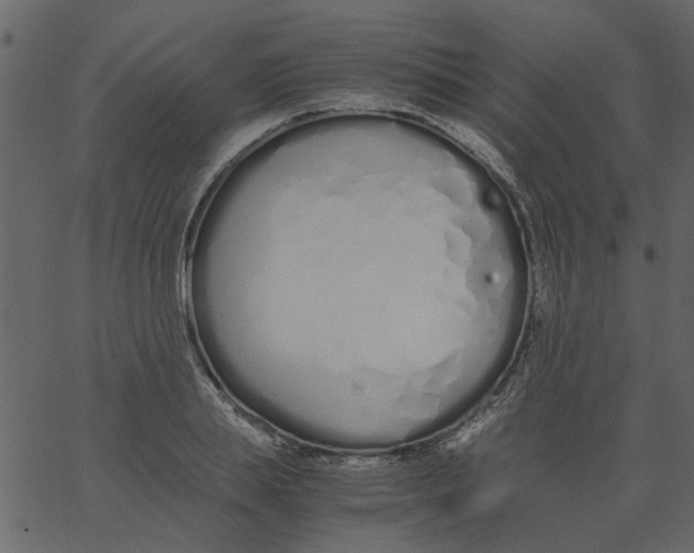 X0000062670839200601111242