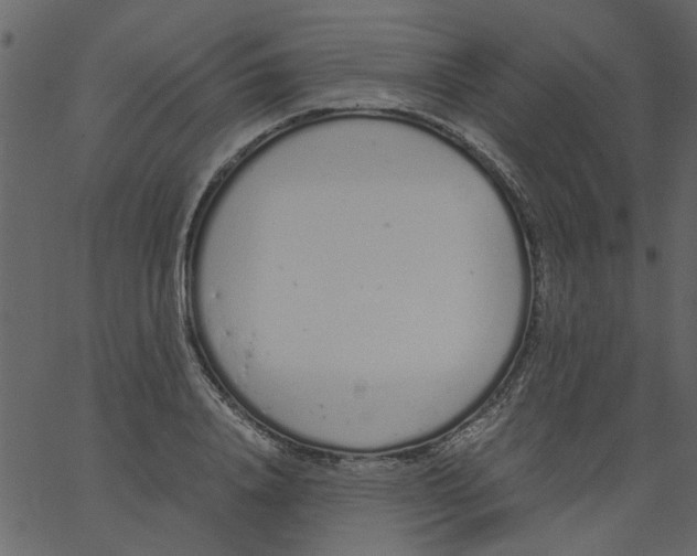 X0000062670840200601111242