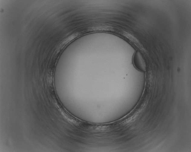 X0000062670841200601111242