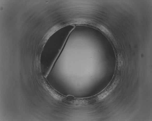 X0000062670842200601111242