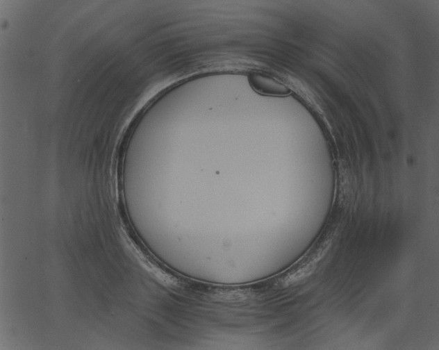 X0000062670843200601111242