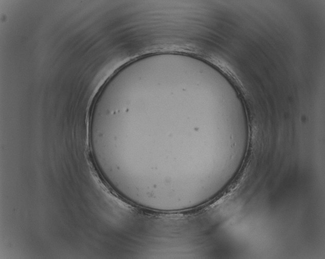 X0000062670844200601111242