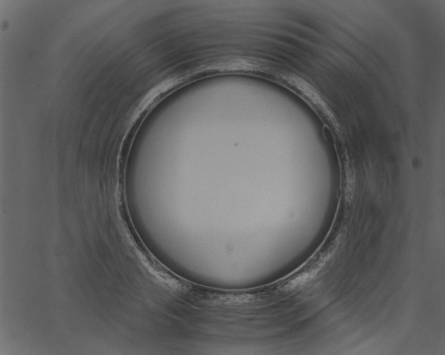 X0000062670845200601111242