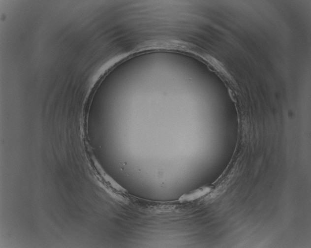 X0000062670846200601111242